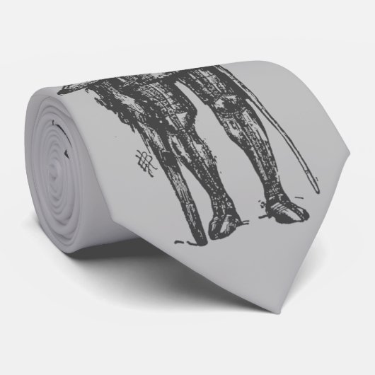 Ridder in Armor Zilver Stropdas (Opgerold)