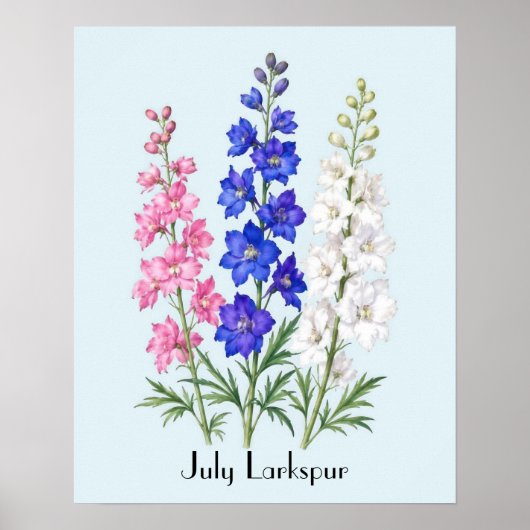 Ridderspoor Bloemen in Juli Poster (Voorkant)