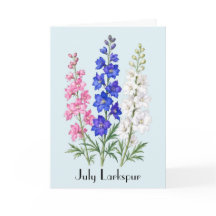 Ridderspoor Bloemen Wenskaart Juli