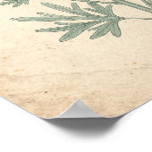 Ridderspoor botanische print | Bloemaren studie (Hoek)