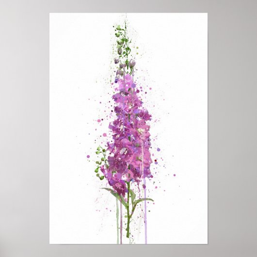 Riddersporen Poster (Voorkant)