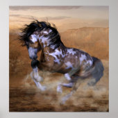 Ride a Painted Pony Poster (Voorkant)