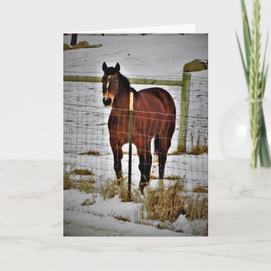 "Ride Away" Verjaardagskaart Kaart (Voorkant)