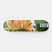 Ride for the Corgi Skateboard (Horizontaal)