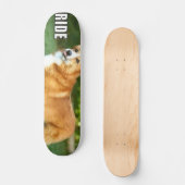 Ride for the Corgi Skateboard (Voorkant)