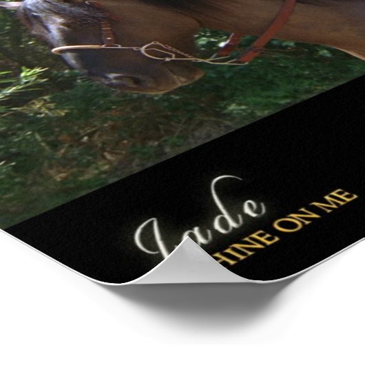 RIDER - Klein Poster (Hoek)