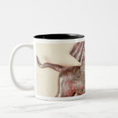 Rider Tweekleurige Koffiemok (Links)