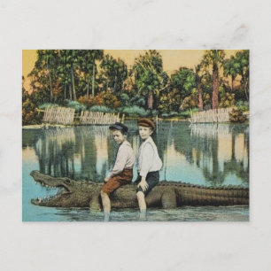 Ride'um Gator Funny Briefkaart