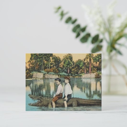 Ride'um Gator Funny Briefkaart (Staand voorkant)