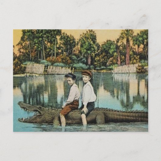 Ride'um Gator Grappige Ansichtkaart Briefkaart (Voorkant)