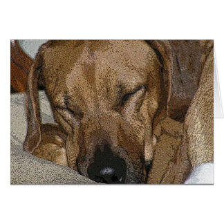 Ridgeback