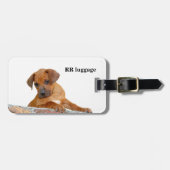 Ridgeback-Bagagelabel Rhodezische Ridgeback Bagagelabel (Voorkant horizontaal)