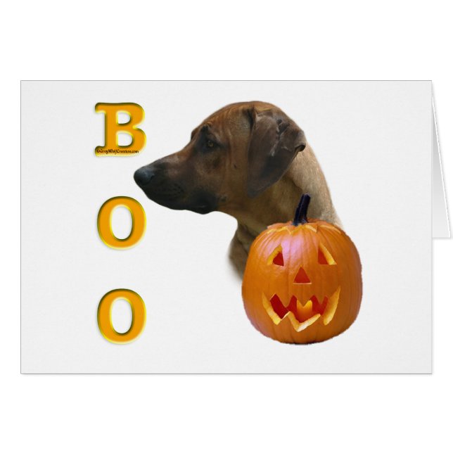 Ridgeback Boo (Voorkant Horizontaal)
