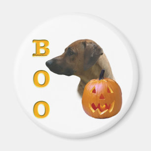 Ridgeback Boo Magneet