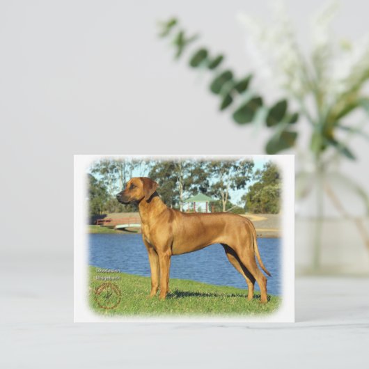 Ridgeback Briefkaart (Staand voorkant)