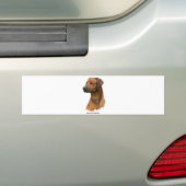 Ridgeback Bumpersticker (Op auto)