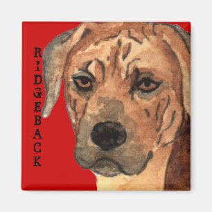 Ridgeback Color Block Magneet