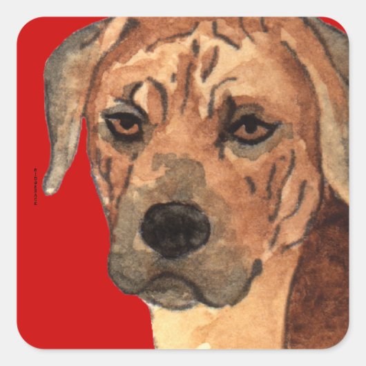Ridgeback Color Block Vierkante Sticker (Voorkant)