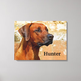 Ridgeback Dog Canvas Afdruk
