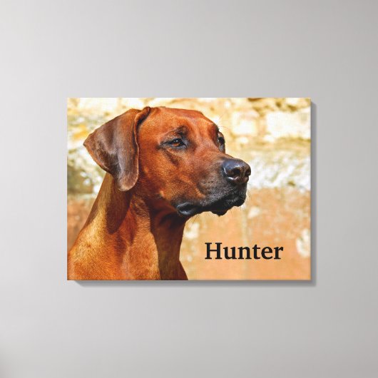 Ridgeback Dog Canvas Afdruk (Voorkant)