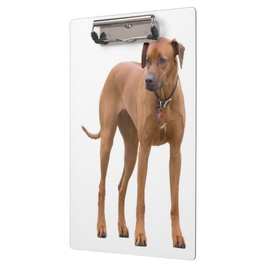 Ridgeback/Dog-fotoklembord Rhodezisch Klembord (Links)