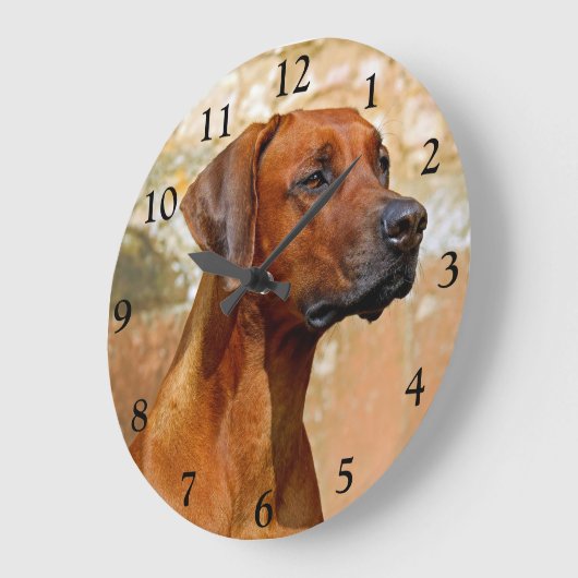 Ridgeback Dog Grote Klok (Hoek)