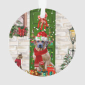 Ridgeback Dog Kerstmis Rhodezesisch Ornament (achterkant)