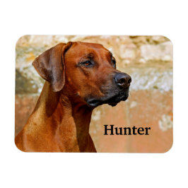 Ridgeback Dog Magneet
