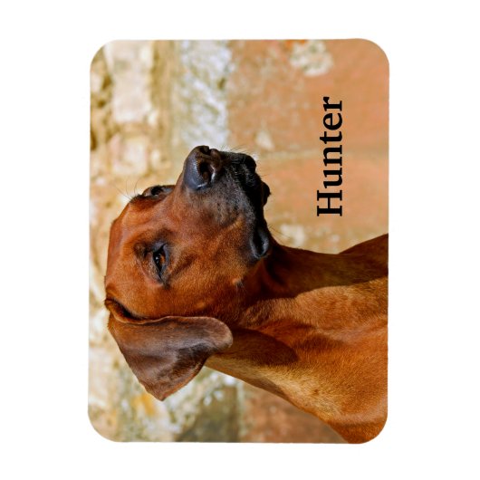 Ridgeback Dog Magneet (Verticaal)