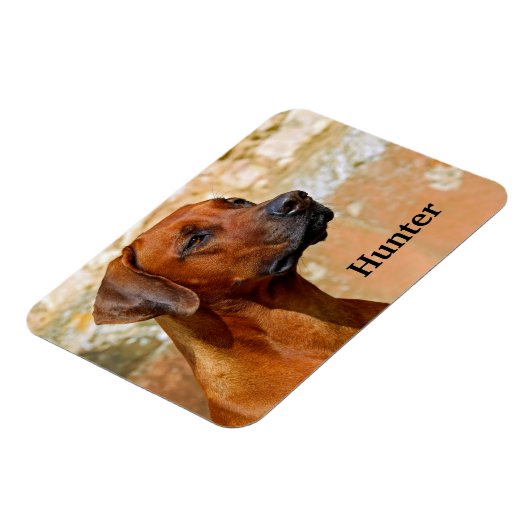 Ridgeback Dog Magneet (Linkerzijde)
