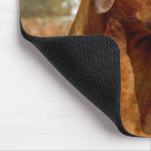 Ridgeback Dog Muismat (Hoek)