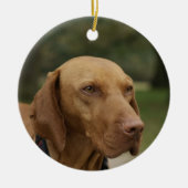 Ridgeback Dog Ornament (Voorkant)
