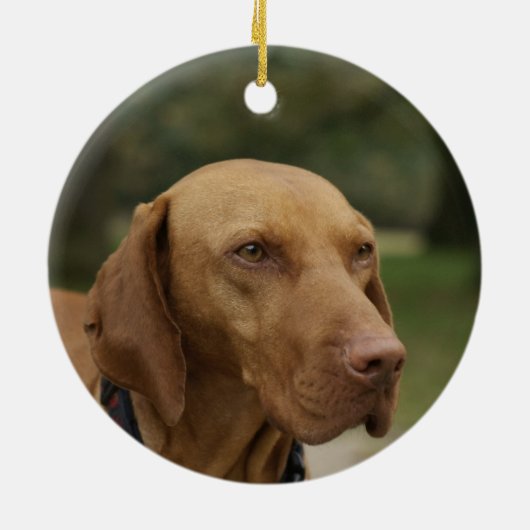 Ridgeback Dog Ornament (Achterkant)