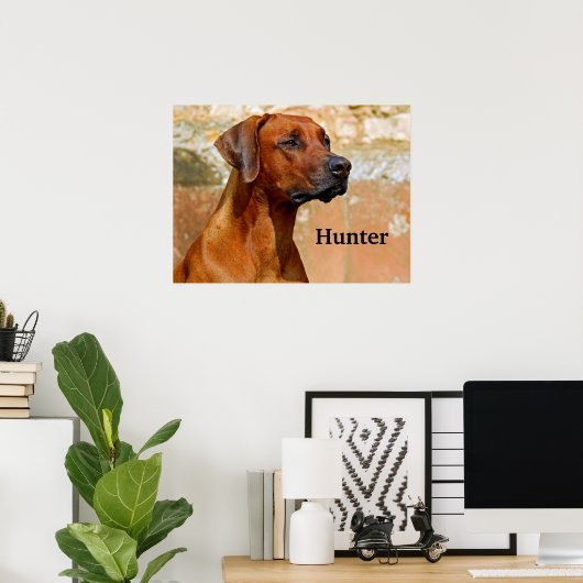 Ridgeback Dog Poster (Thuiskantoor)