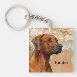 Ridgeback Dog Sleutelhanger