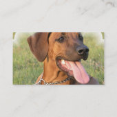Ridgeback Dog Visitekaartje Rhodezisch (Achterkant)