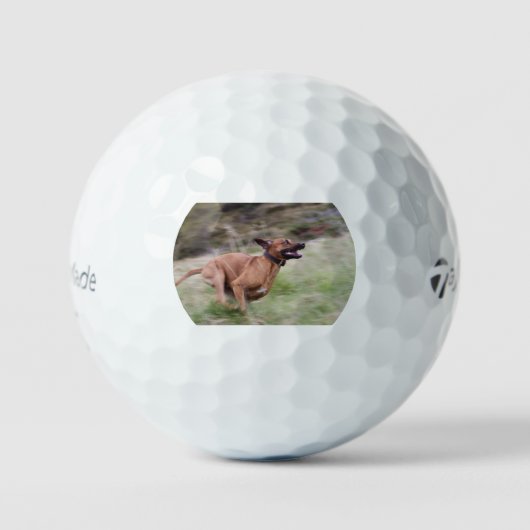 ridgeback hardlopen 2 golfballen (Voorkant)