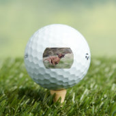 ridgeback hardlopen 2 golfballen (Insitu Shirt)