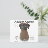 Ridgeback History-ontwerp voor Rhodezische Ridgeba Briefkaart (Staand voorkant)