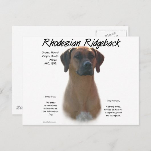 Ridgeback History-ontwerp voor Rhodezische Ridgeba Briefkaart (Voorkant / Achterkant)