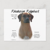 Ridgeback History-ontwerp voor Rhodezische Ridgeba Briefkaart (Voorkant)