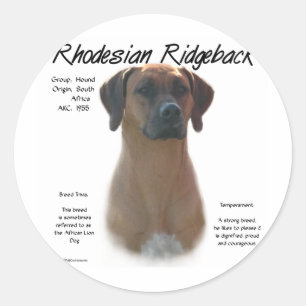 Ridgeback History-ontwerp voor Rhodezische Ridgeba Ronde Sticker