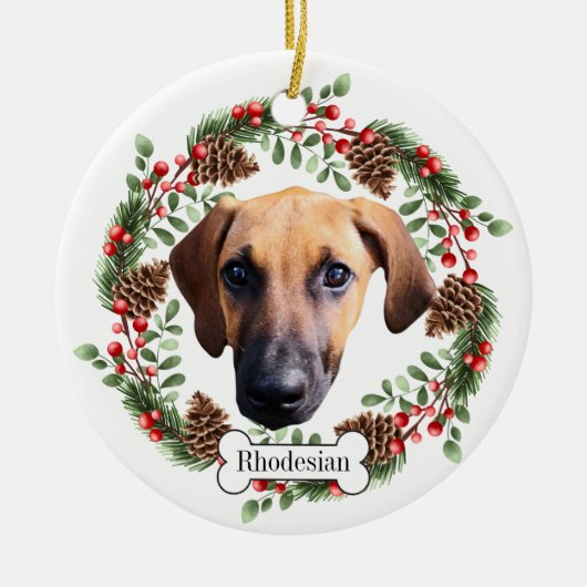 Ridgeback-hond uit Rhodezië Keramisch Ornament (Voorkant)