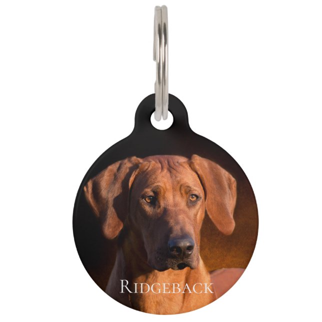 Ridgeback Huisdierpenning (Voorkant)