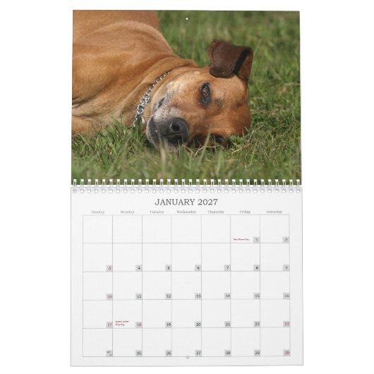 Ridgeback-kalender Rhodezische Ridgeback 2011 Kalender (Jan 2027)