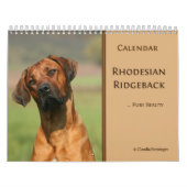 Ridgeback-kalender Rhodezische Ridgeback 2011 Kalender (Hoes)
