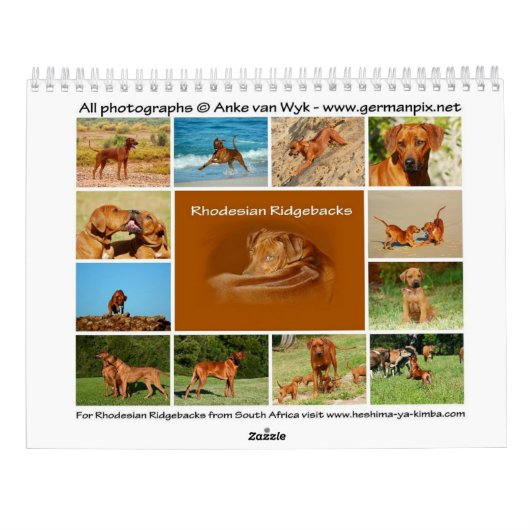 Ridgeback-kalender voor Rhodezische Ridgeback Kalender (Achterkant)