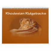 Ridgeback-kalender voor Rhodezische Ridgeback Kalender (Hoes)