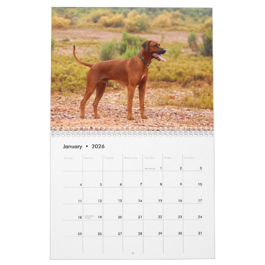 Ridgeback-kalender voor Rhodezische Ridgeback Kalender (Jan 2026)