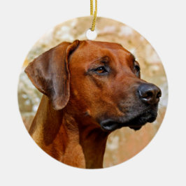 Ridgeback Keramisch Ornament